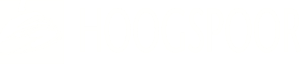 HoogspoorlogoPROFESSIONALLIGHTING
